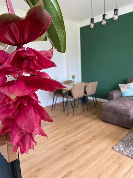 2-Zimmer Zentral In Ferdinandshof, Wlan Modern Buitenkant foto
