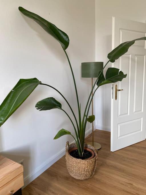 2-Zimmer Zentral In Ferdinandshof, Wlan Modern Buitenkant foto