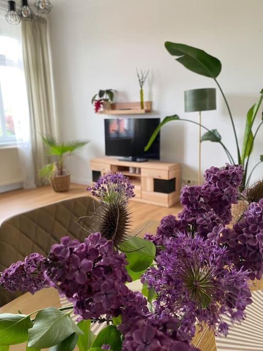 2-Zimmer Zentral In Ferdinandshof, Wlan Modern Buitenkant foto